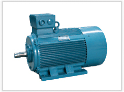  Y (Y2, Y3, YX3) Series 3-Phase Asynchronous Motors