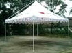  Awning in Composite Type (Auvent in Composite Type)