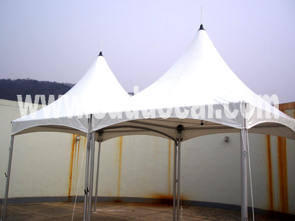  Awning in Composite Type (Auvent in Composite Type)