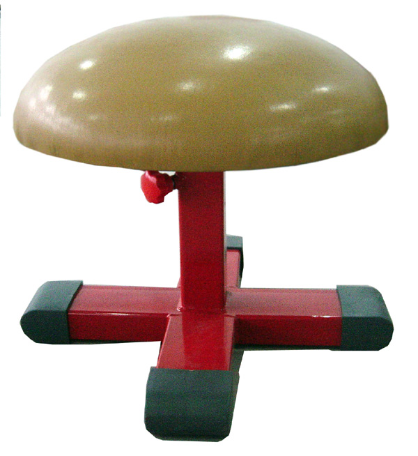  Mushroom Type Sporting Goods (Mushroom Type Sporting Goods)