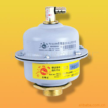  P21X-0.6W Full Auto Exhaust Valve of Vertical Heating Pipe (P21X-0.6W Full Auto Exhaust Valve der vertikalen Heizungsrohr)