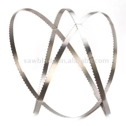  Sawfish Bone Saw (Le poisson-scie Scie d`os)