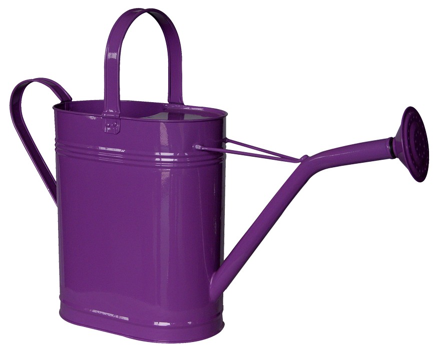  Watering Can ( Watering Can)