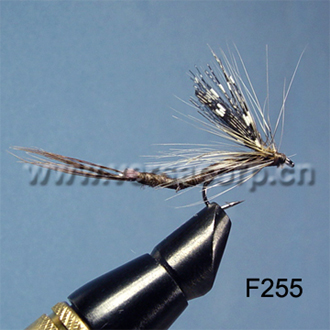  Dry Fly (Dry Fly)
