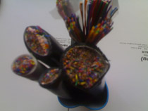  100 Pair Cable ( 100 Pair Cable)