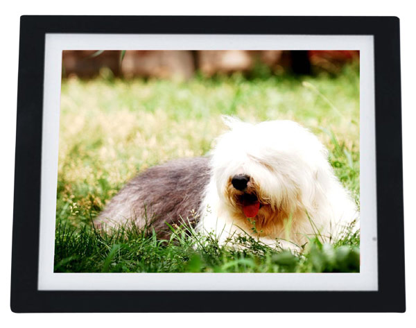  Digital Photo Frame ZA-103 (Digital Photo Frame ZA 03)