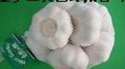  Pure White Garlic (Pure White ail)