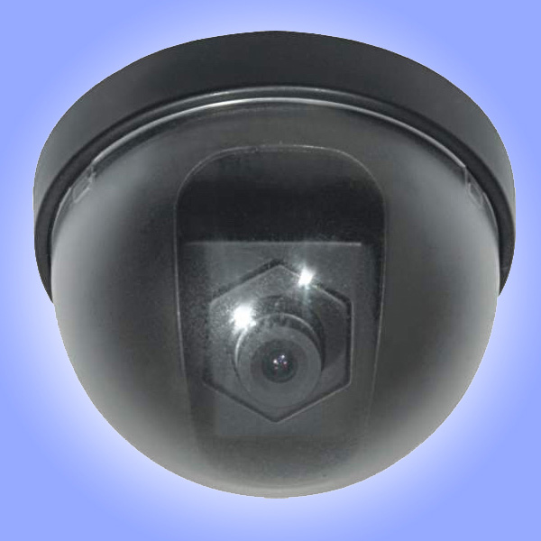  Color Dome Camera (Color Dome Camera)