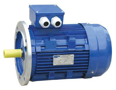  Y2 Series (IP54) Motor ( Y2 Series (IP54) Motor)