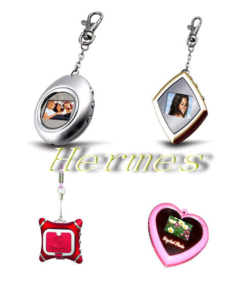 Digital Photo Frame (Digital Photo Frame)