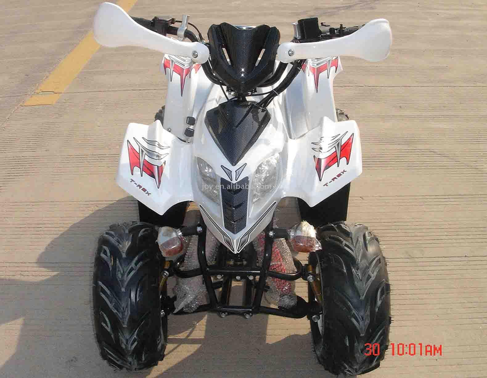  110cc ATV (110cc ATV)
