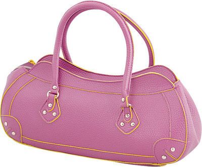  Ladies` Fashion Bag ( Ladies` Fashion Bag)
