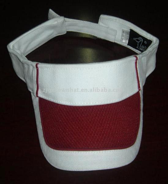  Sun Visor