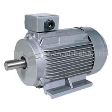  Electric Motor
