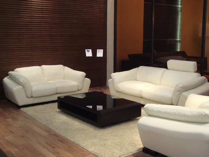  Genuine Leather Sofa ( Genuine Leather Sofa)