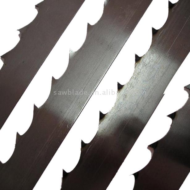  Sawfish Band Saw (Le poisson-scie Scie à ruban)