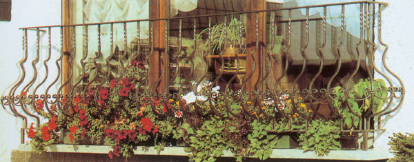  Wrought Iron Fence (Schmiedeeisernen Zaun)