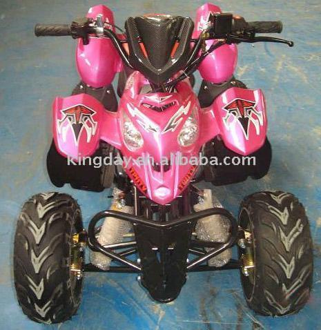  110cc Popular Design ATV (110SS-2) (110cc populaires conception de l`ATV (110SS-2))