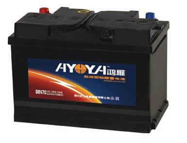  Dry Charged Lead Acid Battery (Dry Charged Blei-Säure-Batterie)