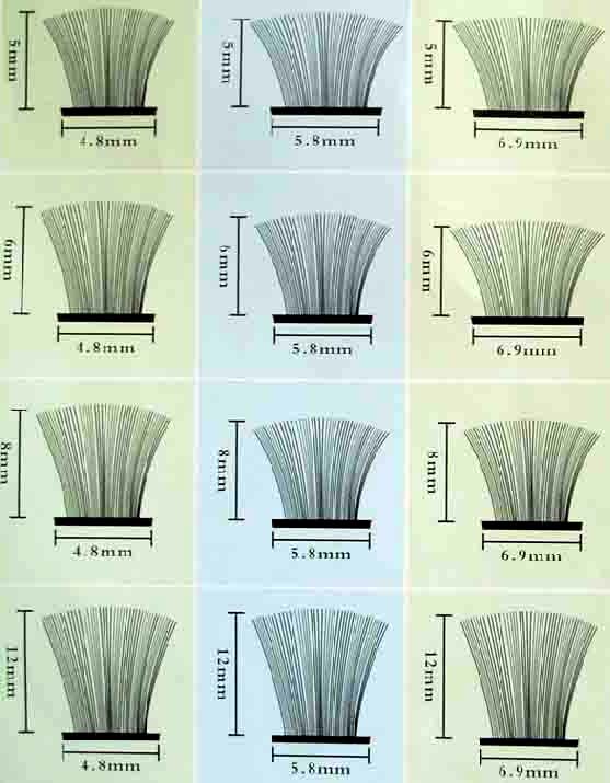  Weather Strip ( Weather Strip)