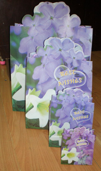  Flower Model Bag ( Flower Model Bag)