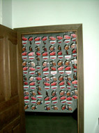  Tent Fly (Tente Fly)