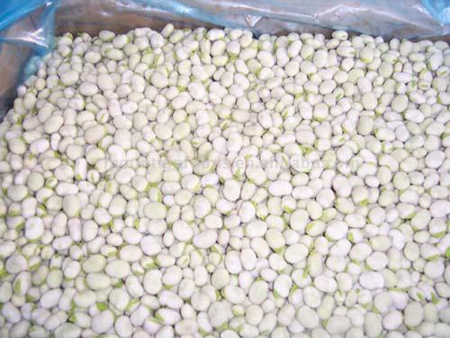  Frozen Broad Bean ( Frozen Broad Bean)