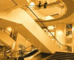  W8 Serial Escalator (W8 Serial Escalator)