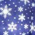  Printing Polar Fleece Blanket (Drucken Polar Fleece Blanket)