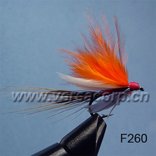  Wet Fly (Wet Fly)