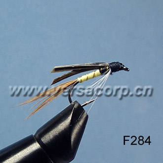  Wet Fly (Wet Fly)