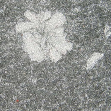  God`s Flower Granite (Божья Цветочная Гранит)