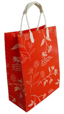  Paper Shopping Bag (Papier Shopping Bag)