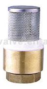  Check Valve (Check Valve)