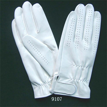  Golf Glove (Golfhandschuh)