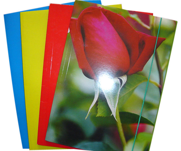  File Folder (File Folder)