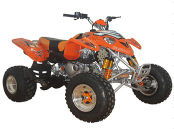  ATV/Quad (ATV / Quad)