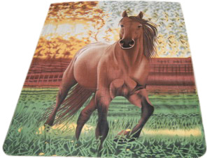  Fleece Blanket ( Fleece Blanket)