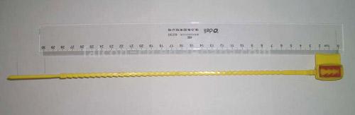  Plastic Seal ( Plastic Seal)