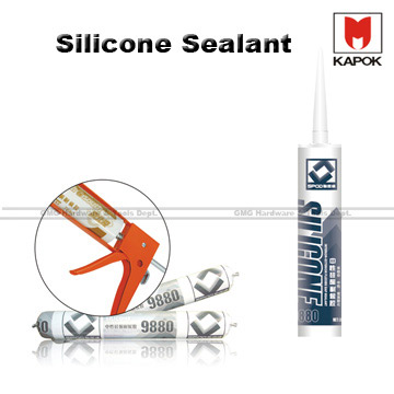  Silicone Sealant (Silikon-Versiegelung)