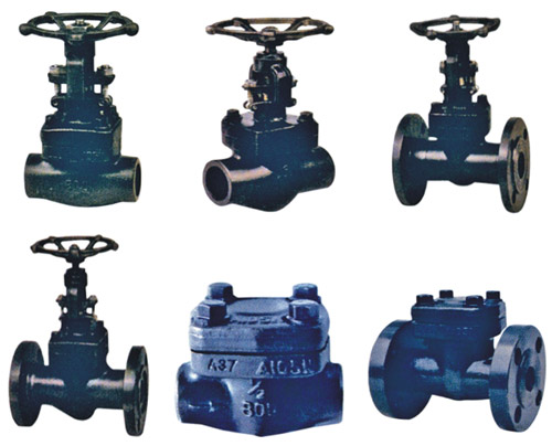  Forged Steel Valve
