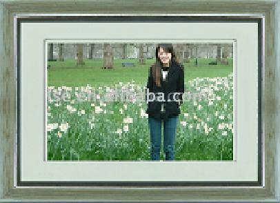  Digital Frame ( Digital Frame)