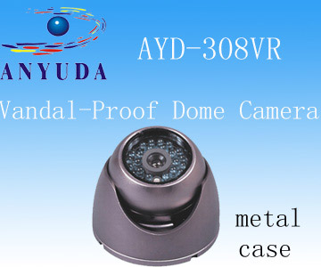  Dome IR Camera ( Dome IR Camera)