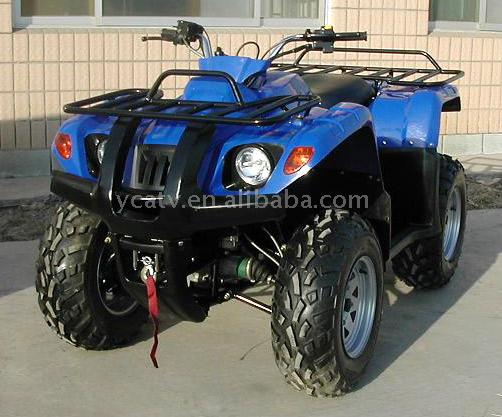  500cc 4WD ATV ( 500cc 4WD ATV)