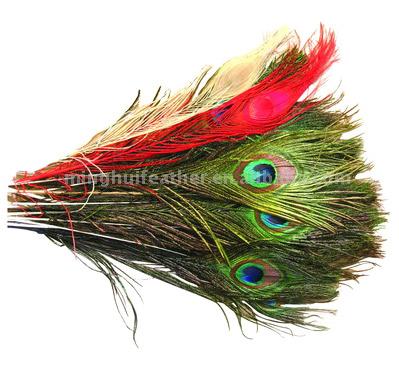  Peacock (Павлин)