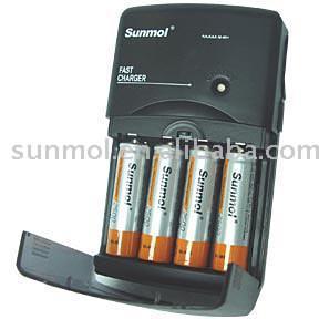Fast Charger (Fast Charger)