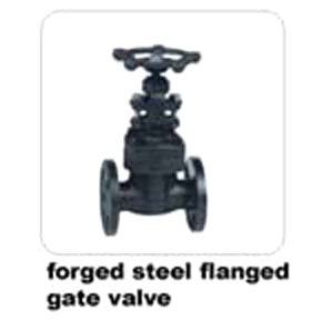  Forged Steel Flanged Gate Valve (En acier forgé à brides Gate Valve)