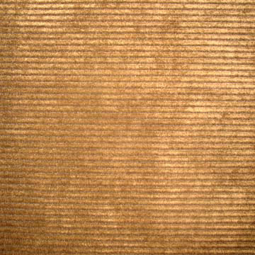  Nylon and Polyester Corduroy ( Nylon and Polyester Corduroy)