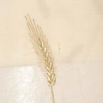  Curtain ( Curtain)