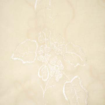  Curtain ( Curtain)